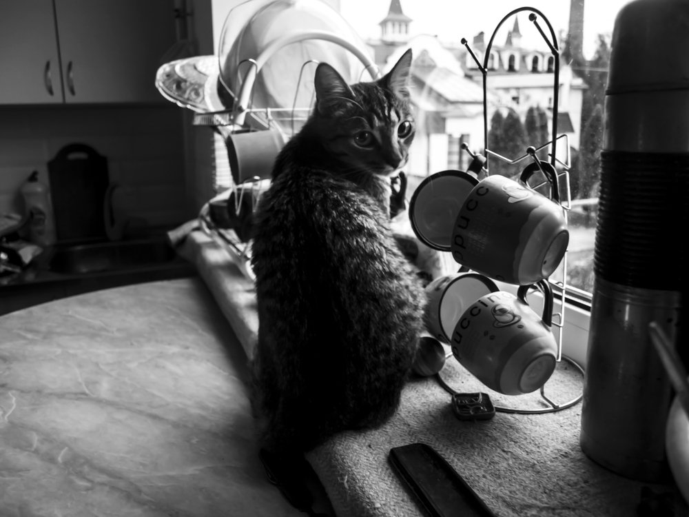 Фотография автора Оксана Талан