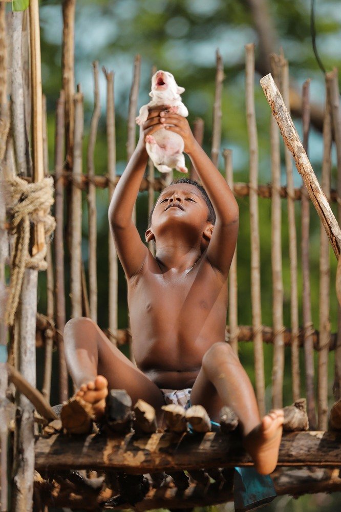 Photograph by  GW ANUJA LAVAN SOMARATHNE SILVA