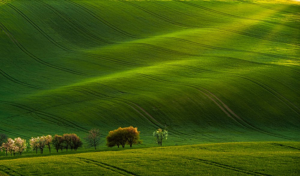 Цветущая Моравия