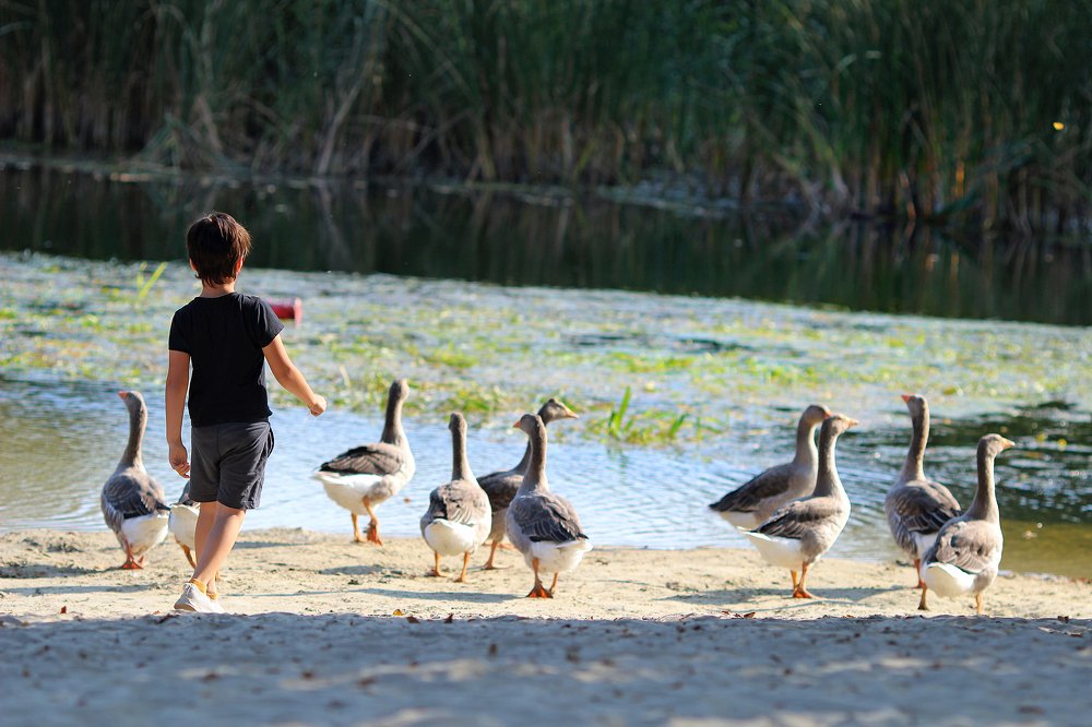 Случайный кадр