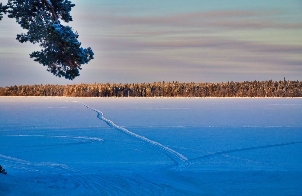 Photograph by Оксана Козлова