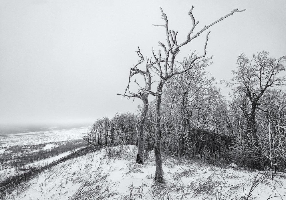 Фотография автора Сергей Сынтин
