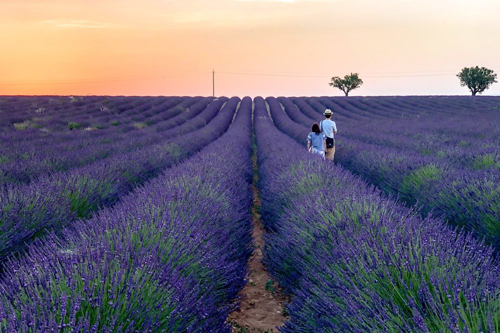 Photograph by Mike Gerasymov