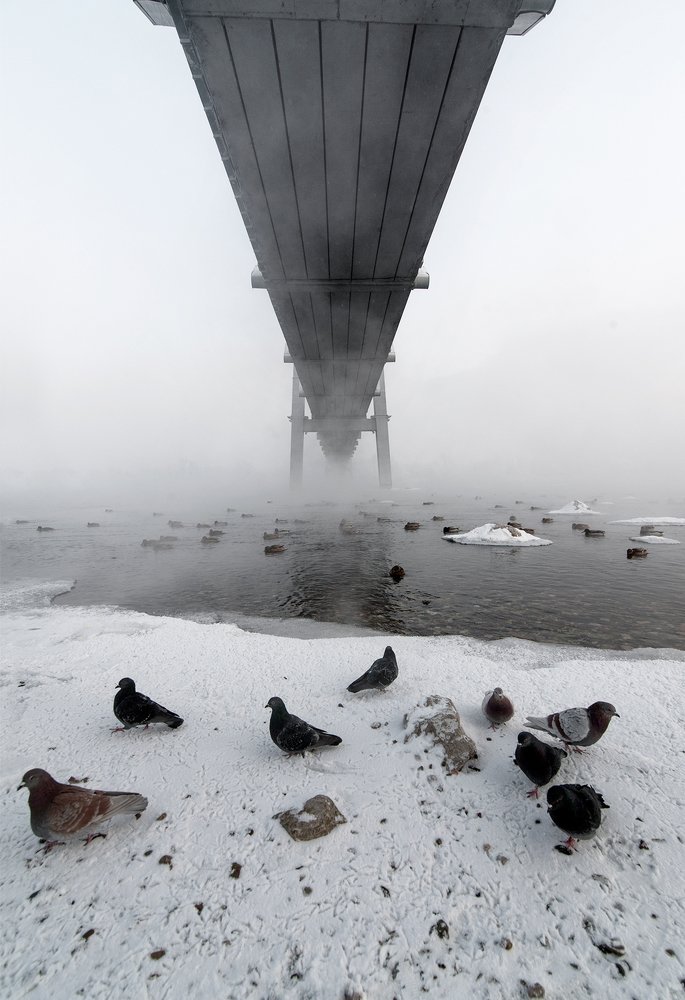 Photograph by Базуев Марк