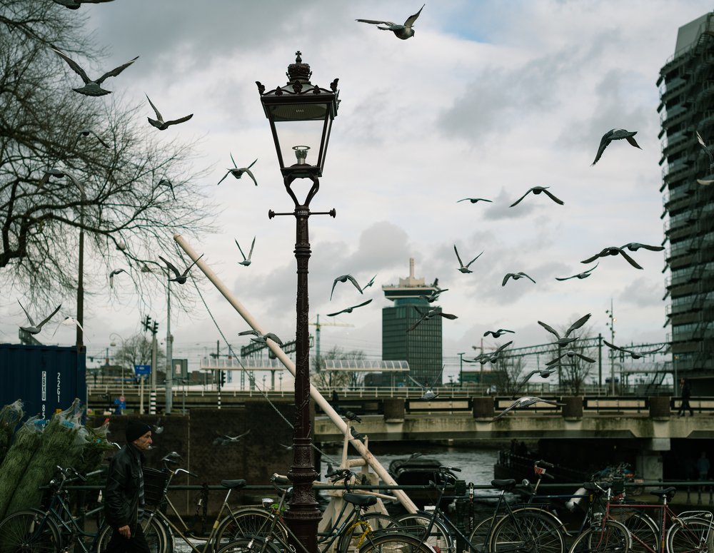 Photograph by Василий Клейменов