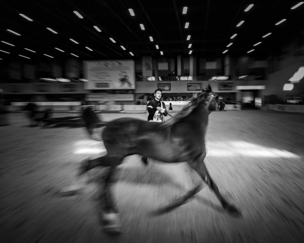 Photograph by TITTU SHAJI THOMAS