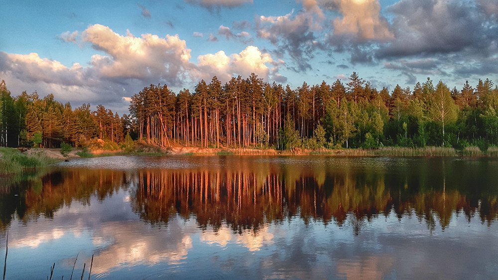 Photograph by Михаил Рассказ