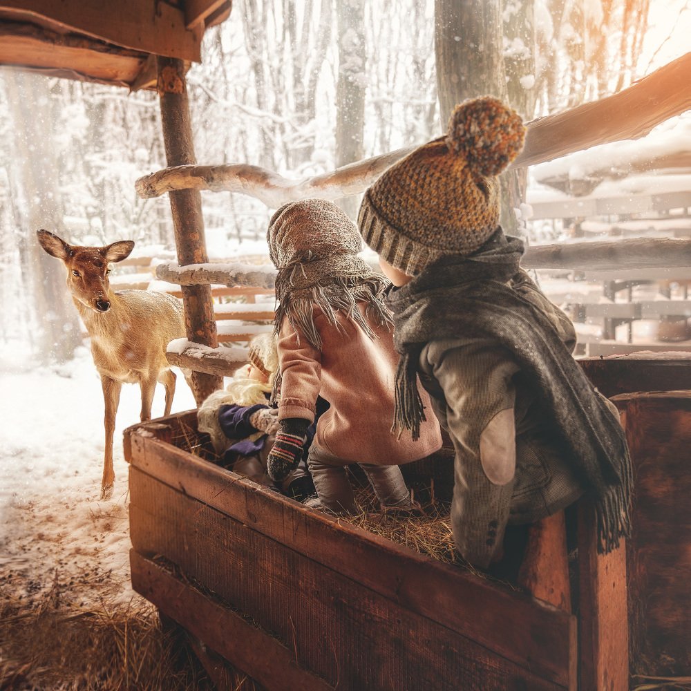 Photograph by Ольга Верхотурова