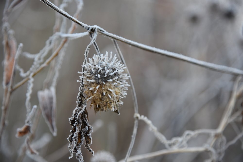 Photograph by Людмила Воропаева