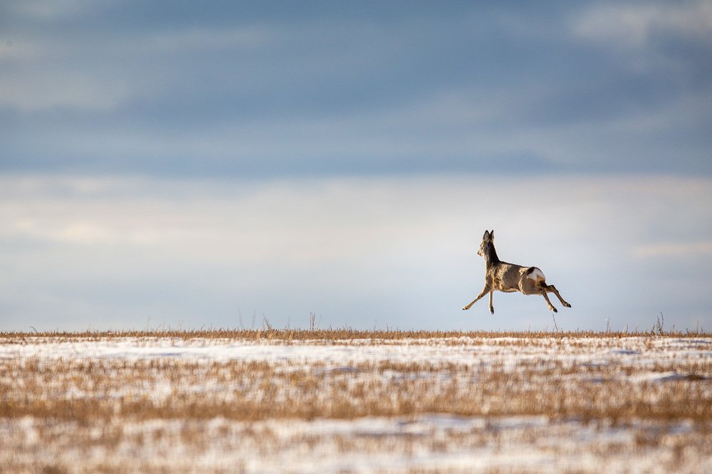 Фотография автора Голубев Дмитрий