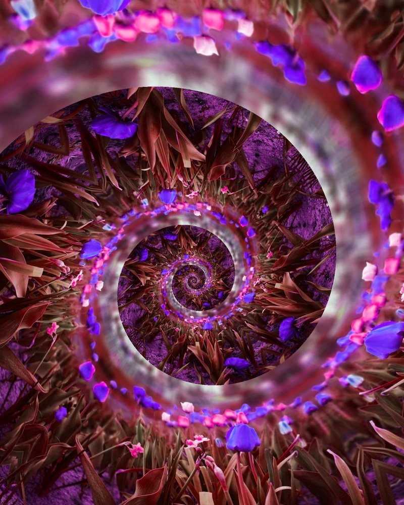 Photograph by Татьяна Чернышова