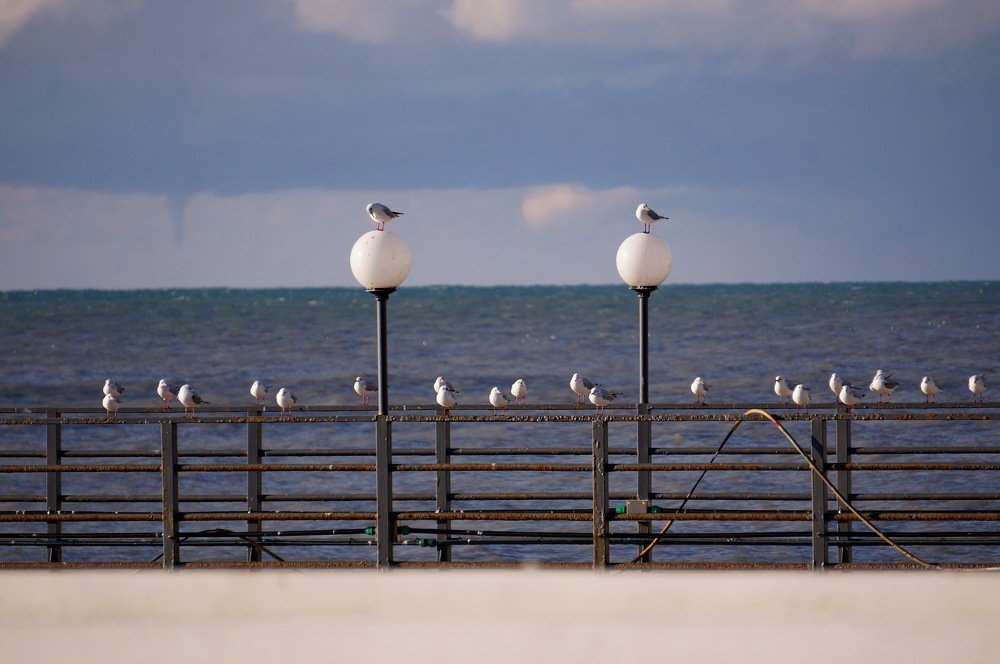 Photograph by Сергей