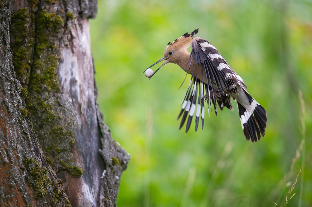 Фотография автора Голубев Дмитрий