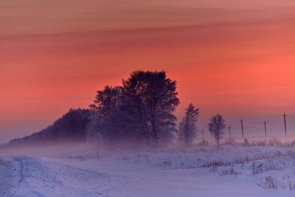 Этюд в багровых тонах.