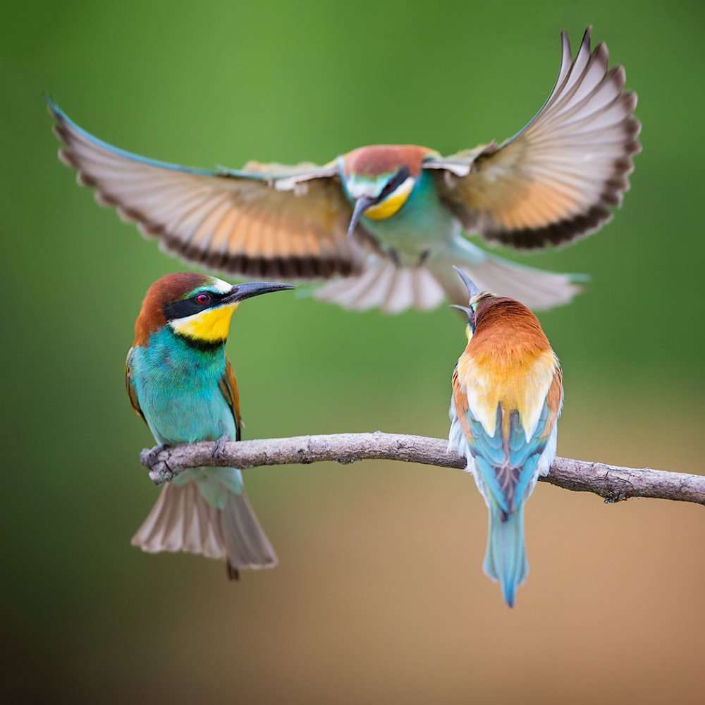 Фотография автора Голубев Дмитрий