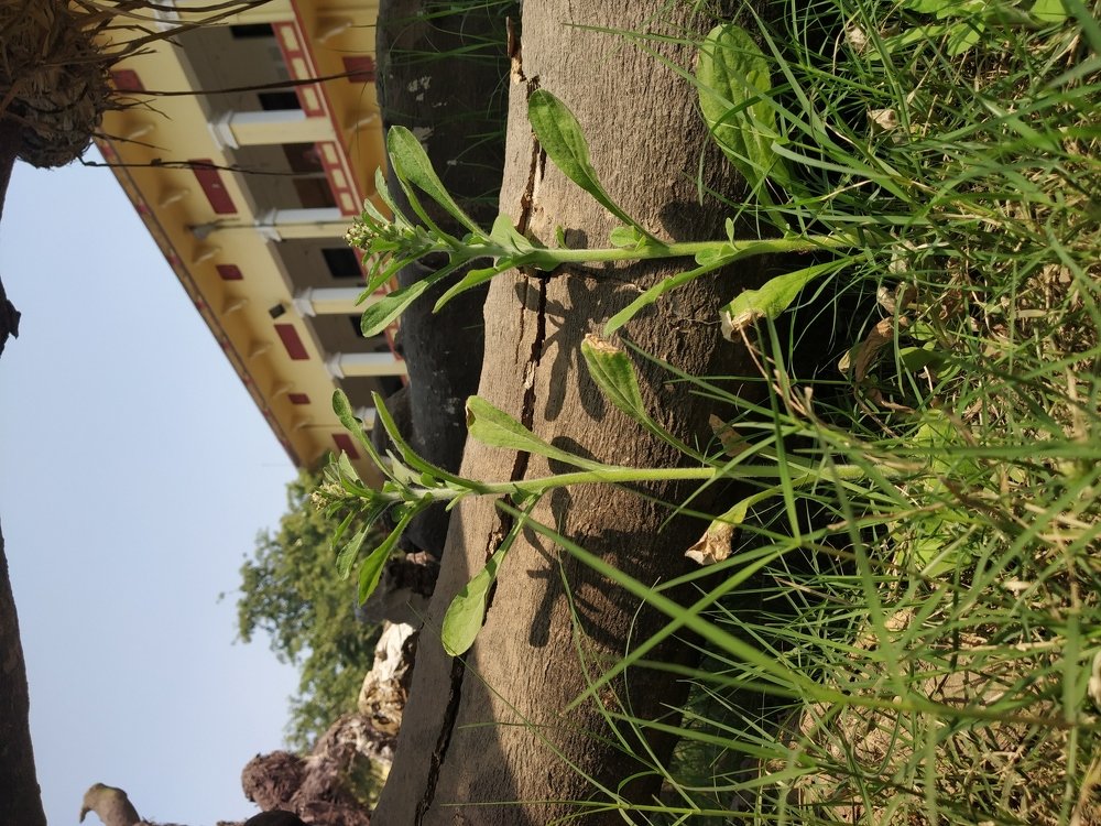 Photograph by Priyanka Sharma