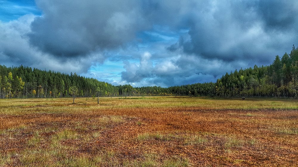 Photograph by Михаил Рассказ