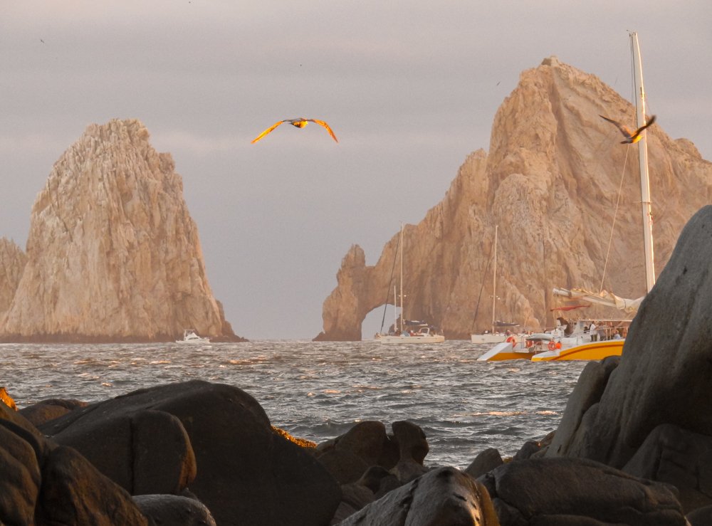 Фотография автора Gabriela Bonilla