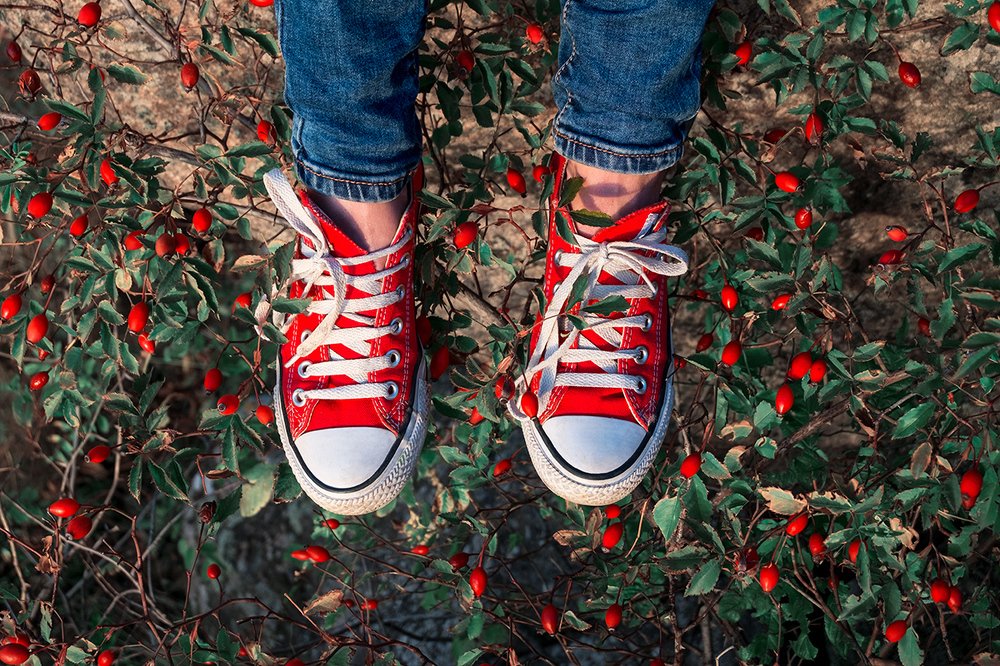 Photograph by Stas Che