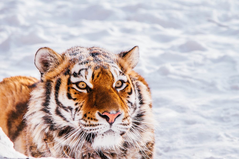 Photograph by Сергей