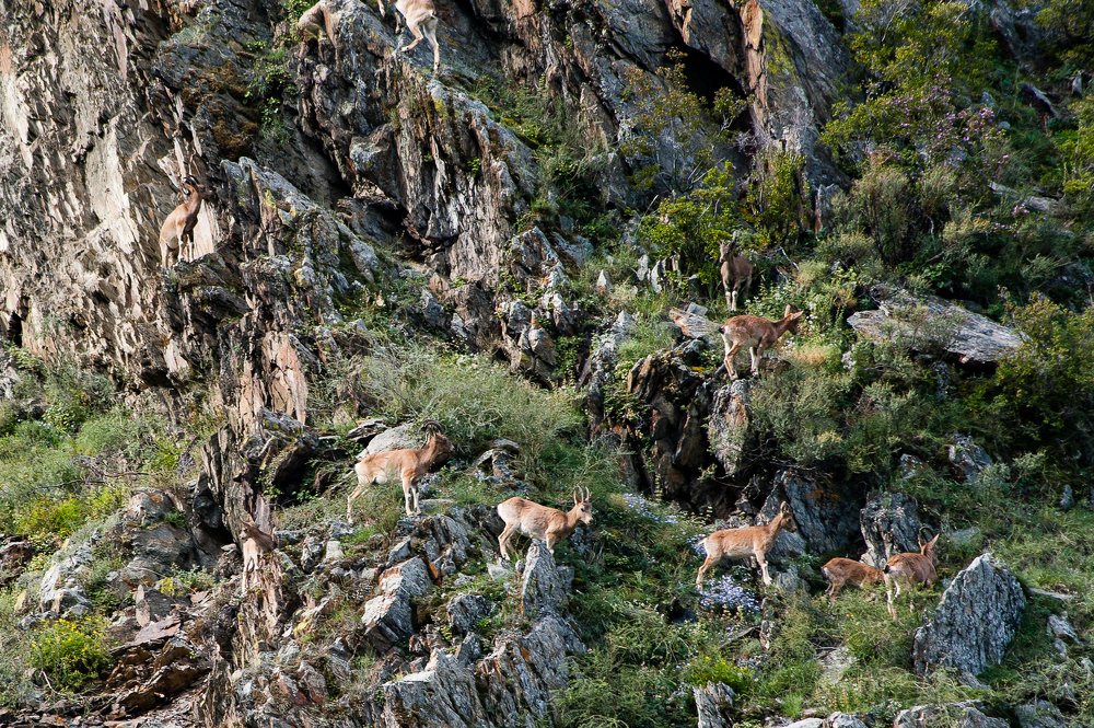 Photograph by Наталья Лобкова