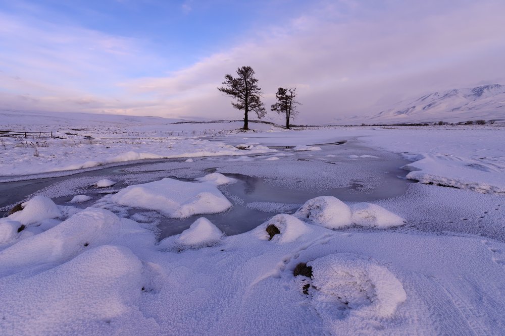 Зимнее утро...