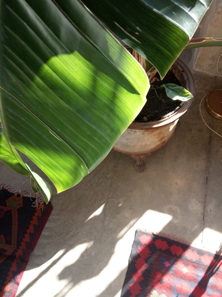 Photograph by Надежда