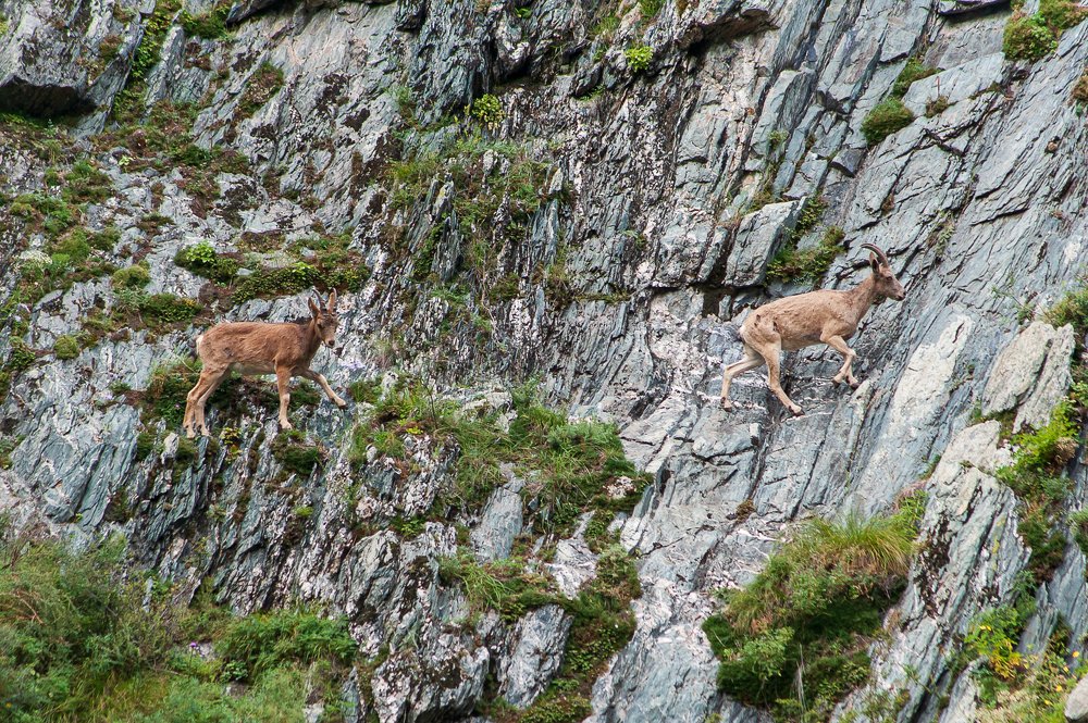 Photograph by Наталья Лобкова