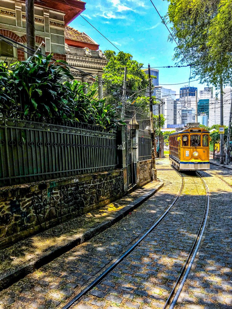 Фотография автора david xavier de carvalho