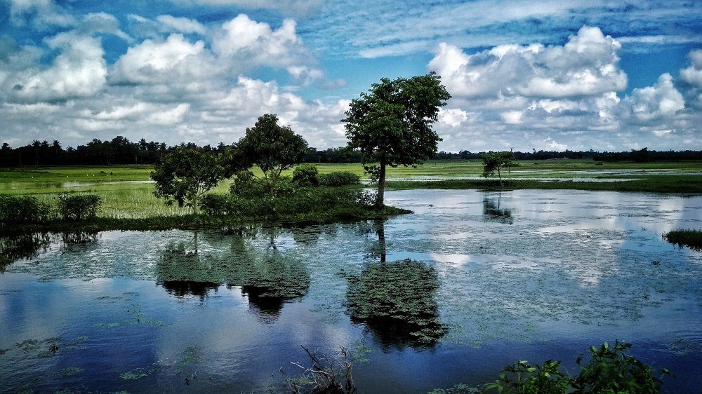 Photograph by Susobhan Biswas