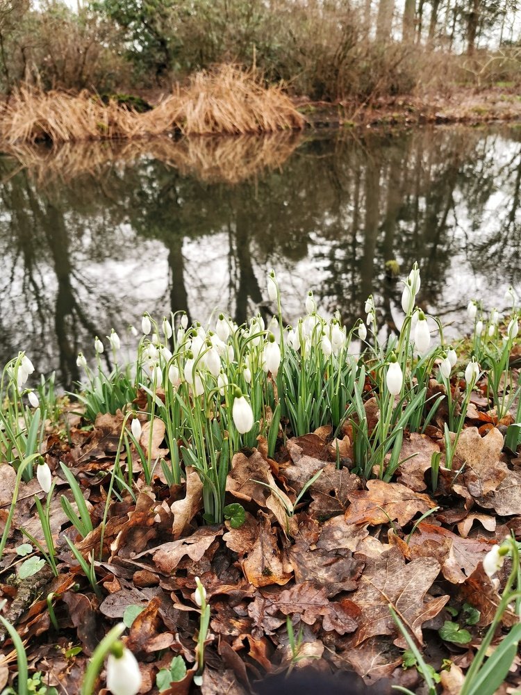 Photograph by Александра Скатова