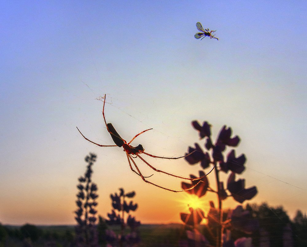 Еще не вечер...