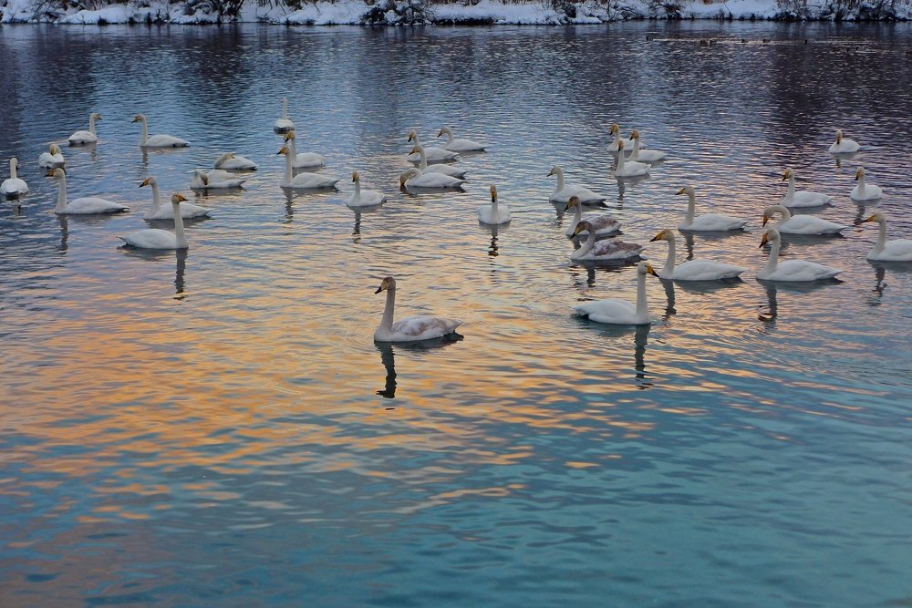 Photograph by Галина Грязнова