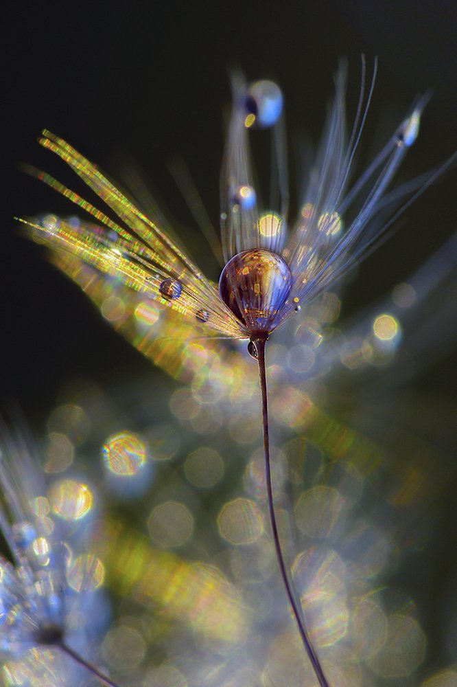 Светомузыка