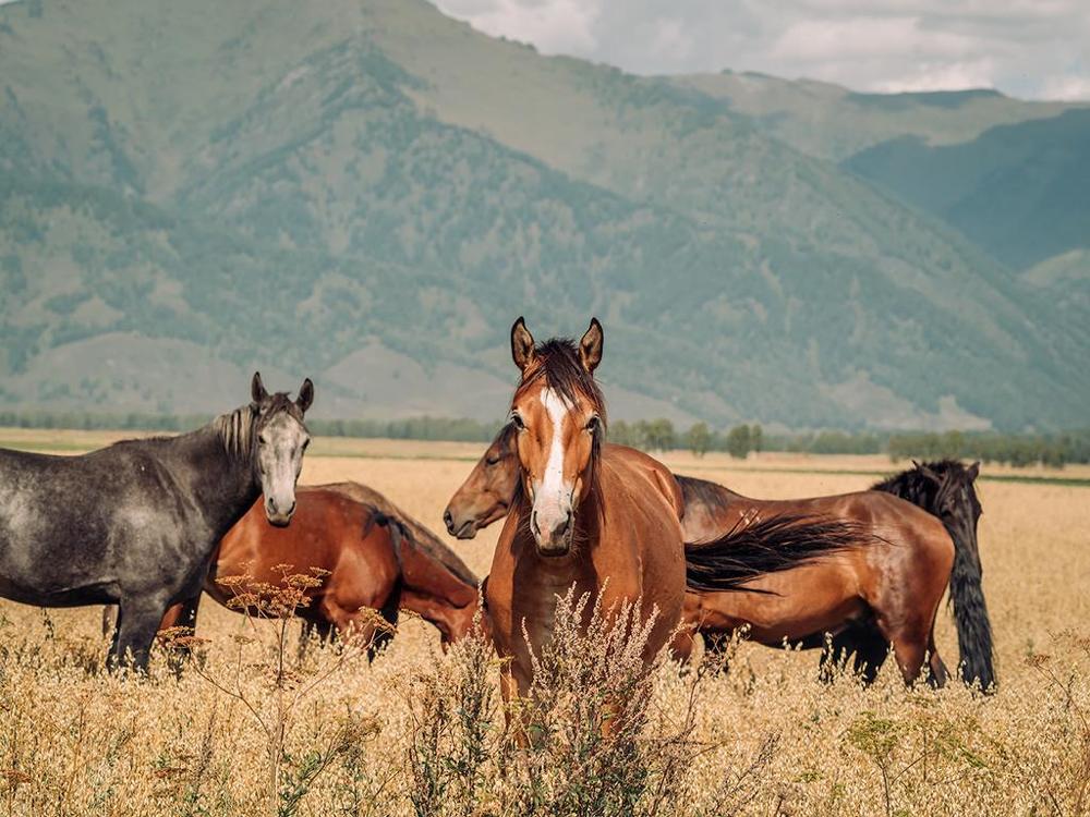 Фотография автора Степин Геннадий
