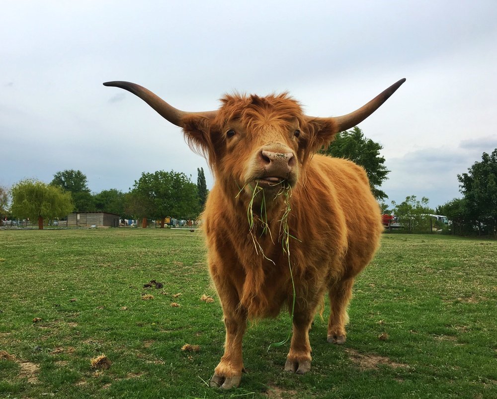Photograph by Александра Скатова