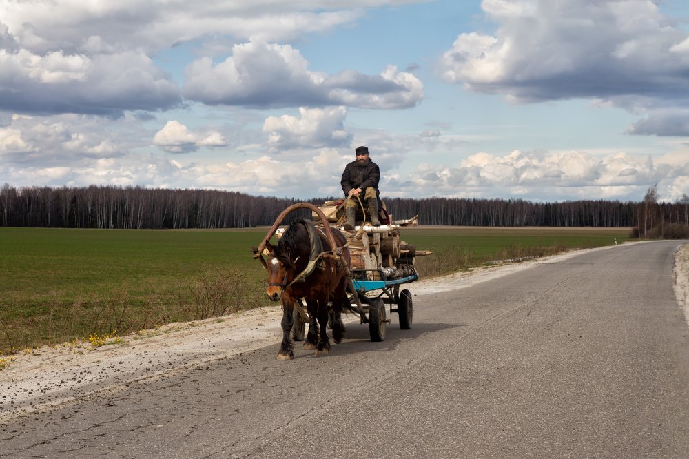 Откуда дровишки?