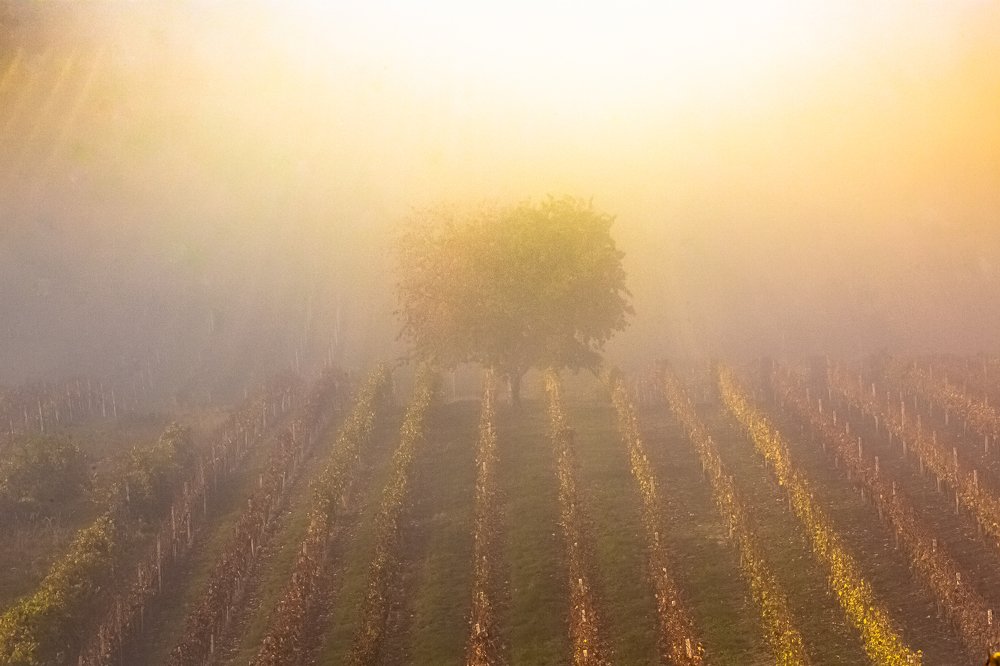 Photograph by Геннадий