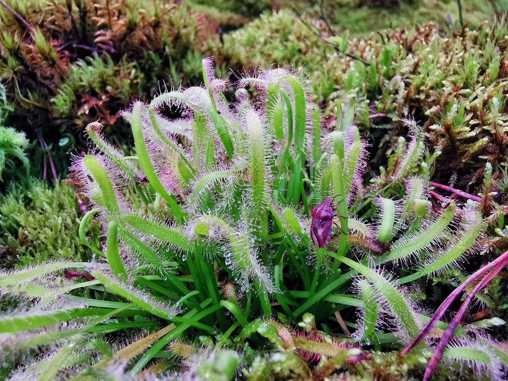 Photograph by Александра Скатова