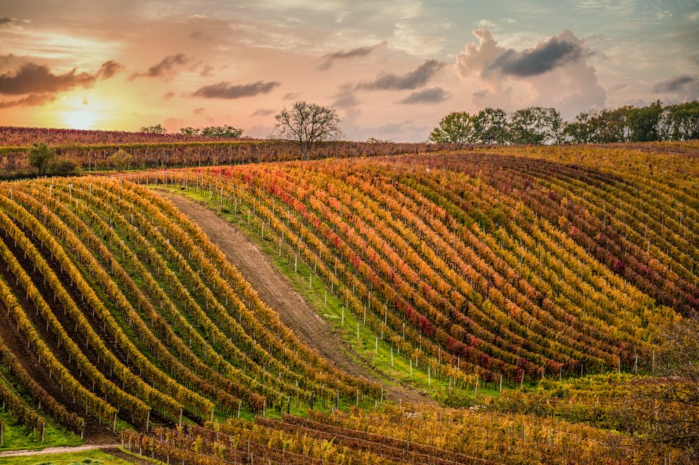 Photograph by Геннадий