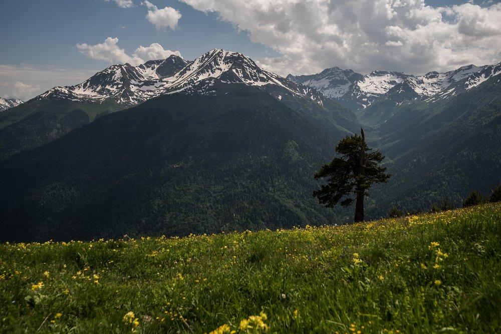 Photograph by Дмитрий Величко