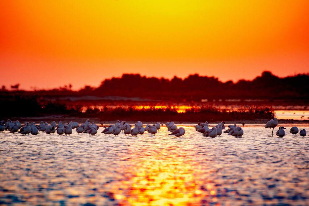 Photograph by Sivaneswaran