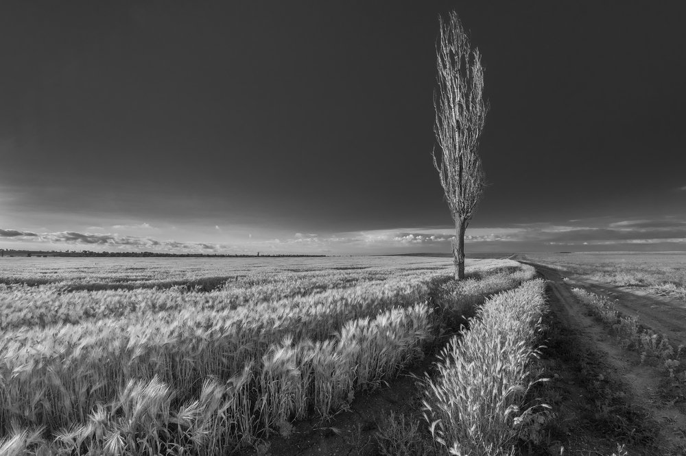 Solitude and freedom