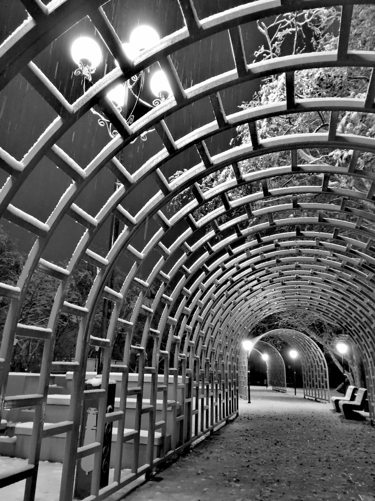 Photograph by Александр Васильев