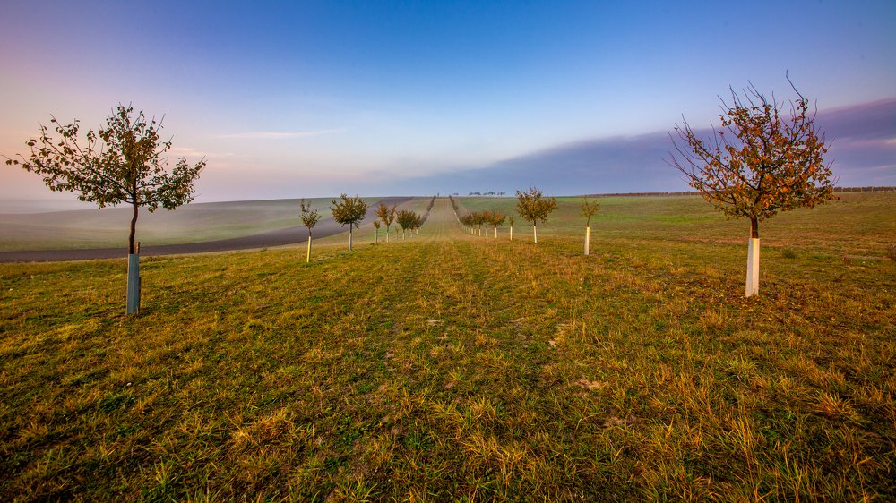 Photograph by Геннадий