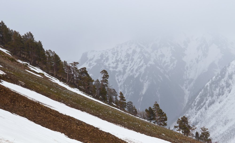 На границе весны