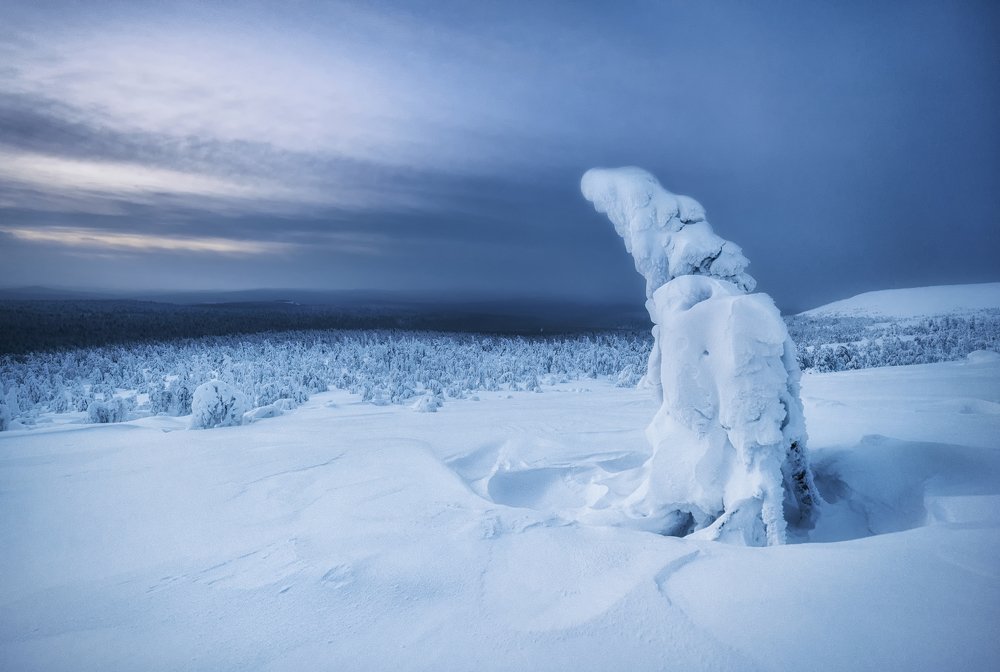 Photograph by Евгений Антонов