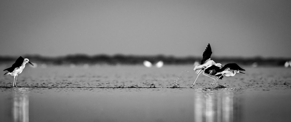 Photograph by Sivaneswaran