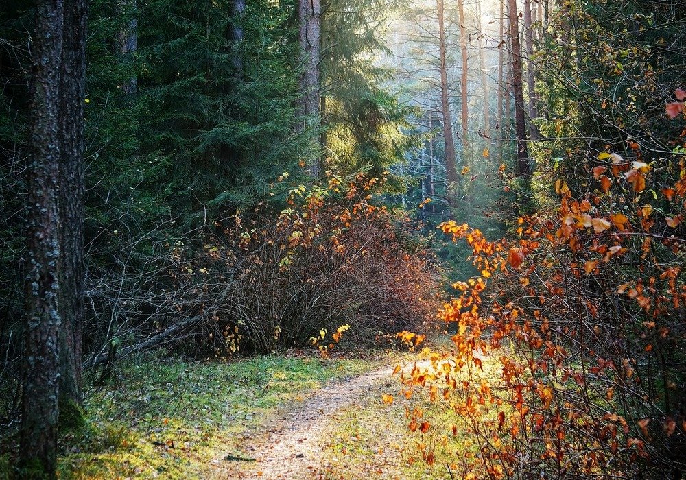 Фотография автора Valery Bel@kov