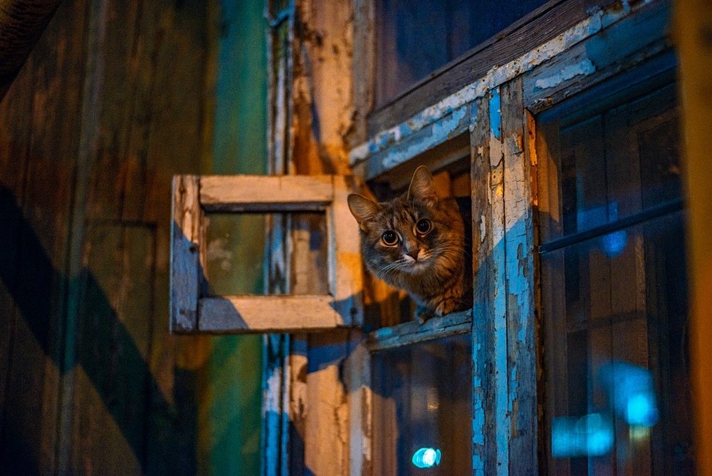 Photograph by Анастасия Бабенко